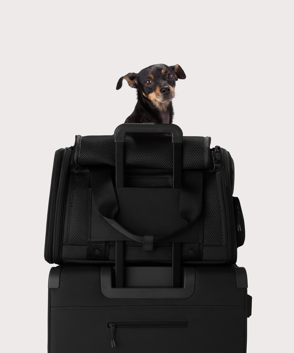 Kyoto Pet Carrier in Onyx. Large - Image 7