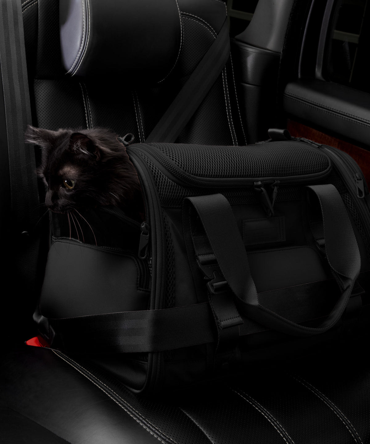 Kyoto Pet Carrier in Onyx. Large - Image 9