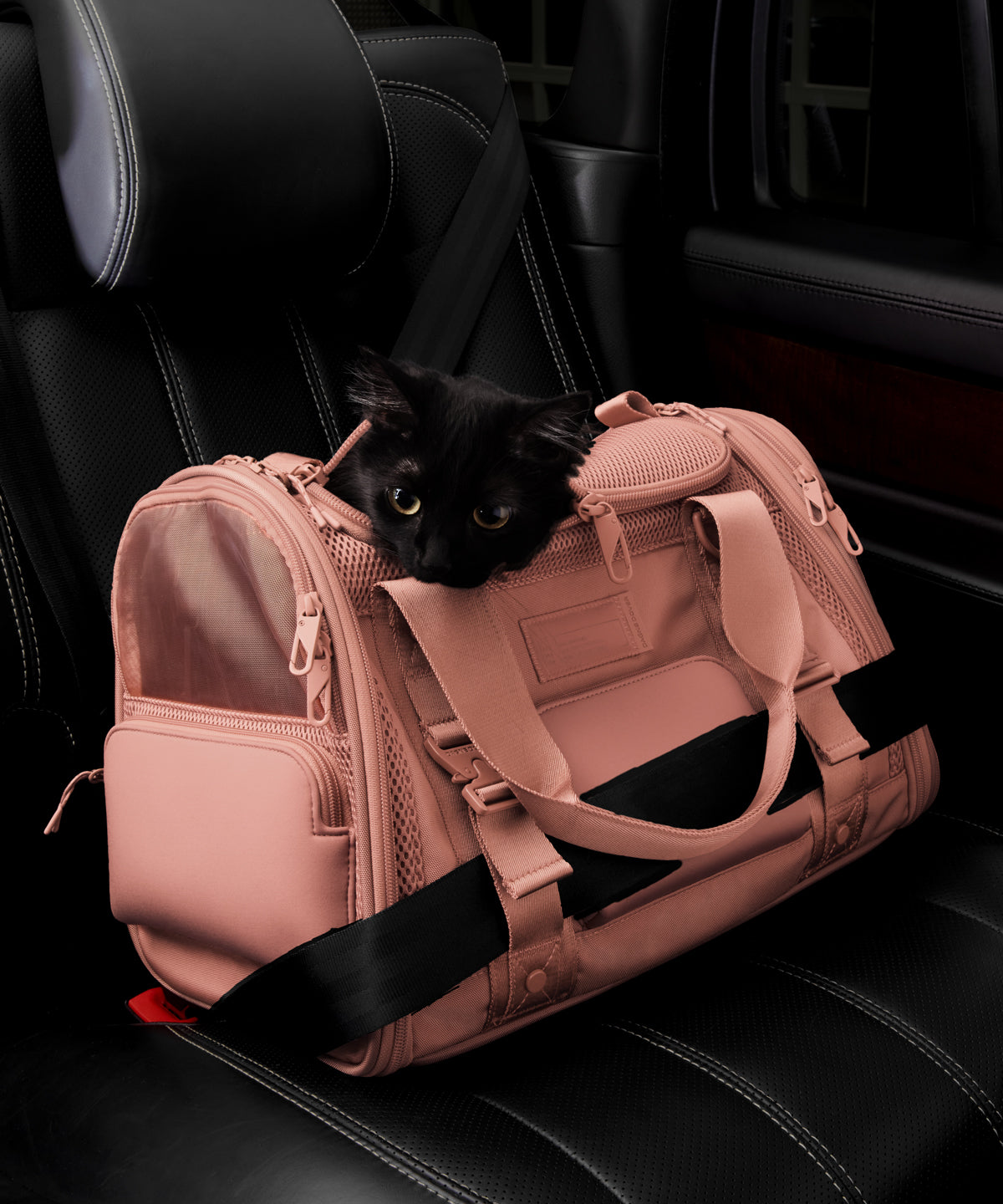 Kyoto Pet Carrier in Warm Dust. Small - Image 9